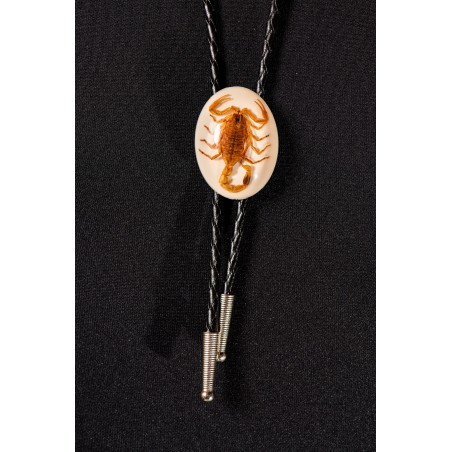 Bolo Tie - Scorpion Unisexe - Austin Accent